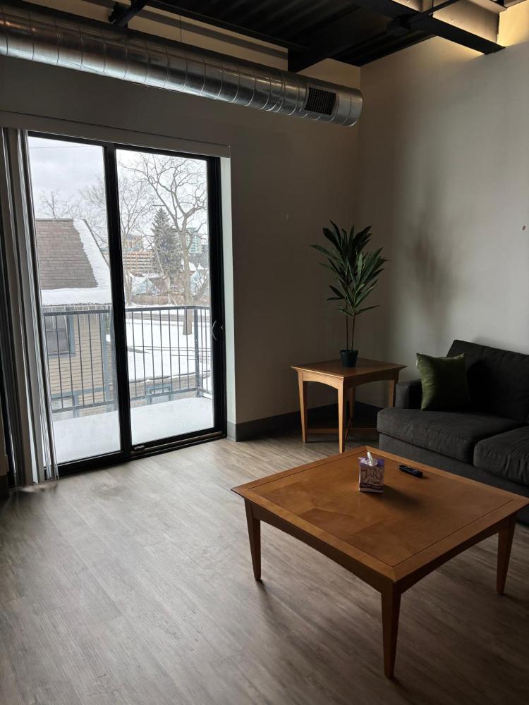 New Luxury Downtown 1 Bedroom Condo 201